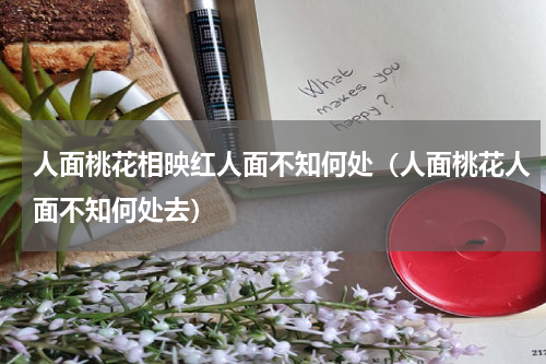 人面桃花相映红人面不知何处（人面桃花人面不知何处去）