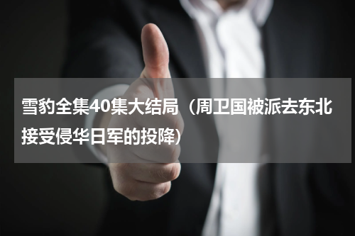 雪豹全集40集大结局（周卫国被派去东北接受侵华日军的投降）
