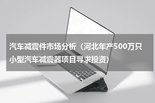 汽车减震件市场分析（河北年产500万只小型汽车减震器项目寻求投资）
