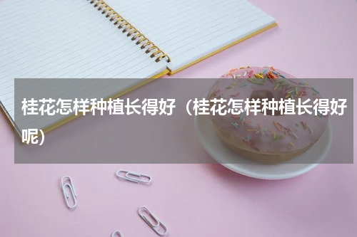桂花怎样种植长得好（桂花怎样种植长得好呢）