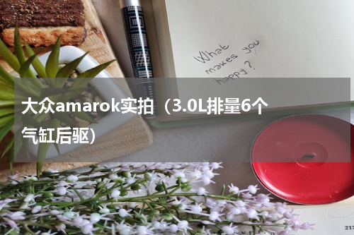 大众amarok实拍（3.0L排量6个气缸后驱）