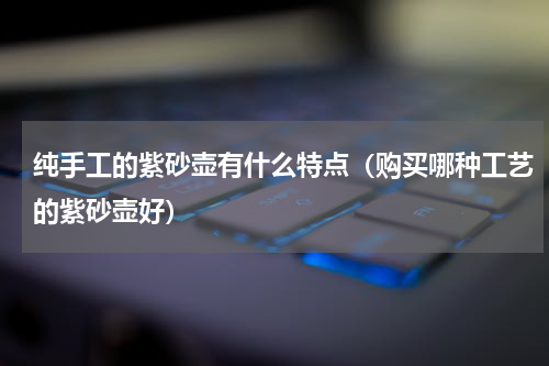 纯手工的紫砂壶有什么特点（购买哪种工艺的紫砂壶好）