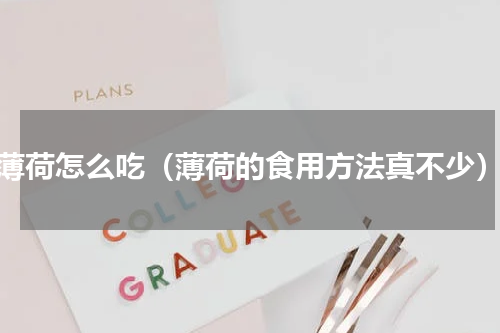薄荷怎么吃（薄荷的食用方法真不少）
