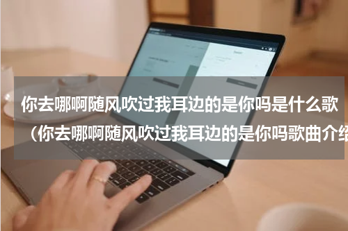 你去哪啊随风吹过我耳边的是你吗是什么歌（你去哪啊随风吹过我耳边的是你吗歌曲介绍）