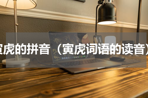 寅虎的拼音（寅虎词语的读音）
