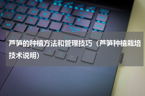 芦笋的种植方法和管理技巧（芦笋种植栽培技术说明）