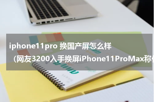 iphone11pro 换国产屏怎么样（网友3200入手换屏iPhone11ProMax称价格便宜才是王道）