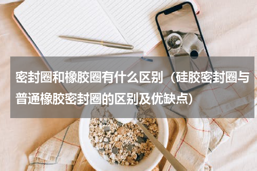 密封圈和橡胶圈有什么区别（硅胶密封圈与普通橡胶密封圈的区别及优缺点）
