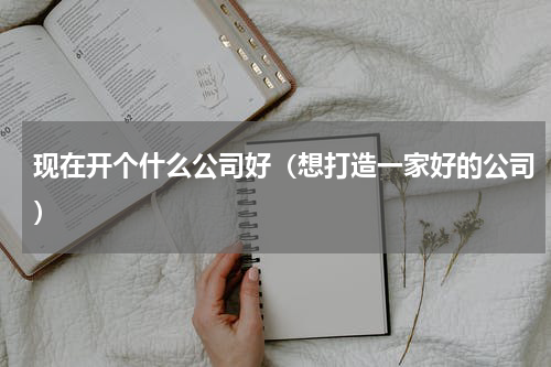 现在开个什么公司好（想打造一家好的公司）