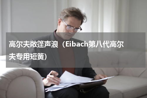 高尔夫敞篷声浪（Eibach第八代高尔夫专用短簧）