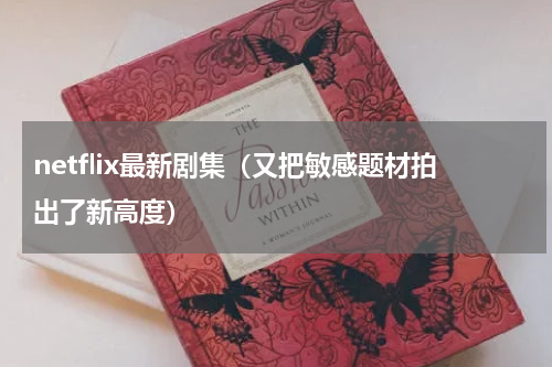netflix最新剧集（又把敏感题材拍出了新高度）