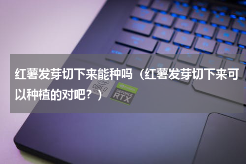 红薯发芽切下来能种吗（红薯发芽切下来可以种植的对吧？）