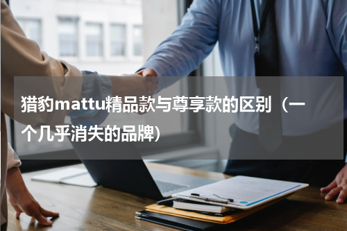 猎豹mattu精品款与尊享款的区别（一个几乎消失的品牌）