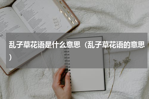 乱子草花语是什么意思（乱子草花语的意思）