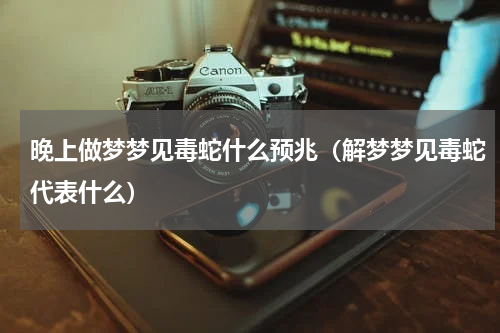 晚上做梦梦见毒蛇什么预兆（解梦梦见毒蛇代表什么）
