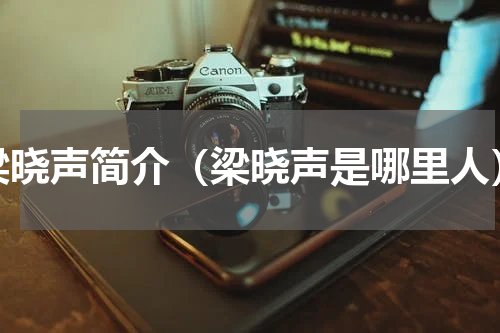 梁晓声简介（梁晓声是哪里人）