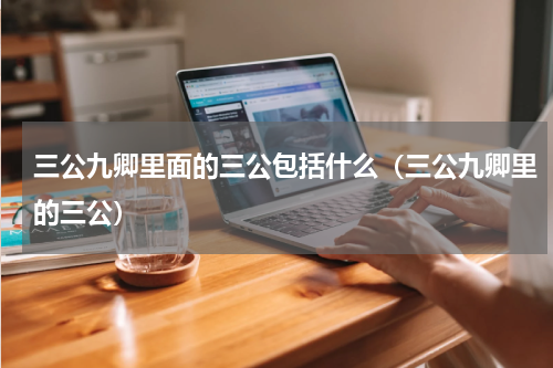 三公九卿里面的三公包括什么（三公九卿里的三公）