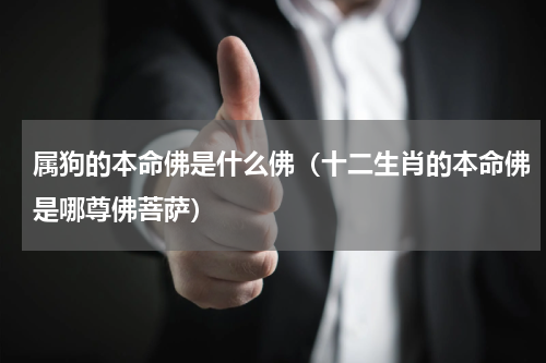 属狗的本命佛是什么佛（十二生肖的本命佛是哪尊佛菩萨）