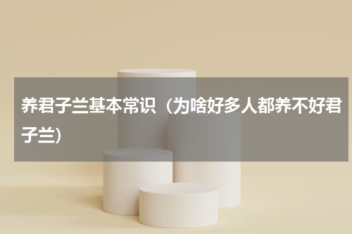 养君子兰基本常识（为啥好多人都养不好君子兰）