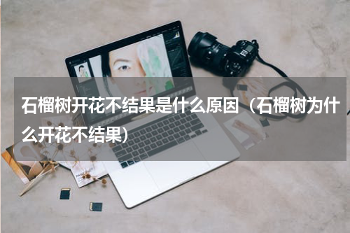 石榴树开花不结果是什么原因（石榴树为什么开花不结果）