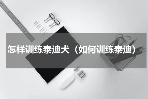 怎样训练泰迪犬（如何训练泰迪）