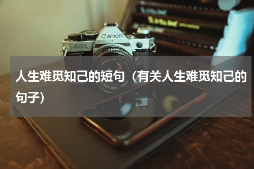 人生难觅知己的短句（有关人生难觅知己的句子）