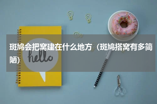 斑鸠会把窝建在什么地方（斑鸠搭窝有多简陋）