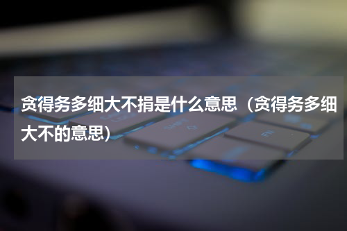 贪得务多细大不捐是什么意思（贪得务多细大不的意思）