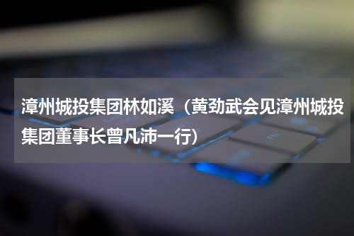 漳州城投集团林如溪（黄劲武会见漳州城投集团董事长曾凡沛一行）