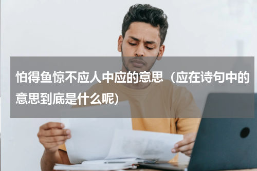 怕得鱼惊不应人中应的意思（应在诗句中的意思到底是什么呢）