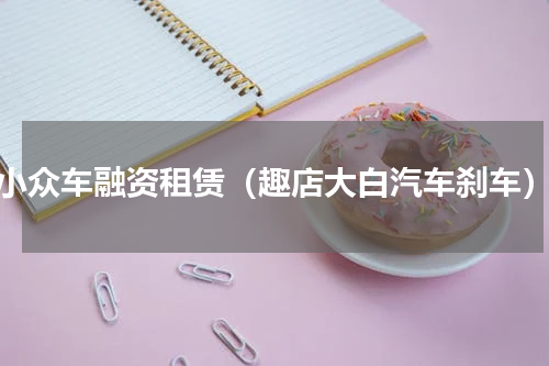 小众车融资租赁（趣店大白汽车刹车）