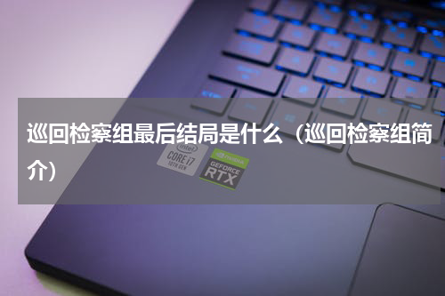 巡回检察组最后结局是什么（巡回检察组简介）
