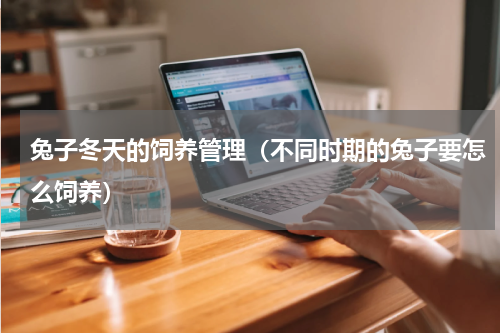 兔子冬天的饲养管理（不同时期的兔子要怎么饲养）