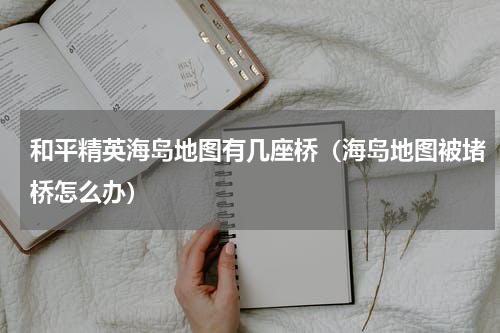 和平精英海岛地图有几座桥（海岛地图被堵桥怎么办）