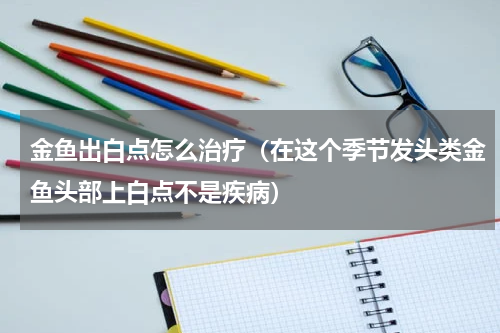 金鱼出白点怎么治疗（在这个季节发头类金鱼头部上白点不是疾病）