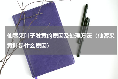 仙客来叶子发黄的原因及处理方法（仙客来黄叶是什么原因）