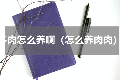 多肉怎么养啊（怎么养肉肉）