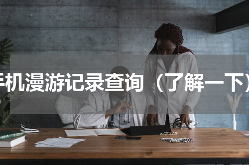 手机漫游记录查询（了解一下）