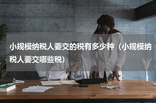 小规模纳税人要交的税有多少种（小规模纳税人要交哪些税）