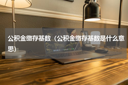 公积金缴存基数（公积金缴存基数是什么意思）