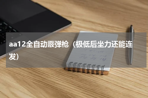 aa12全自动霰弹枪（极低后坐力还能连发）