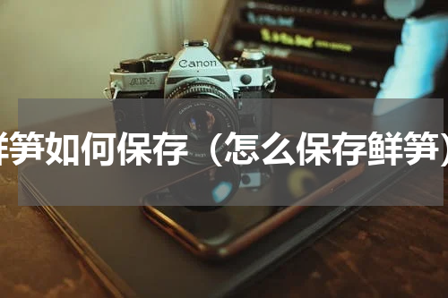鲜笋如何保存（怎么保存鲜笋）