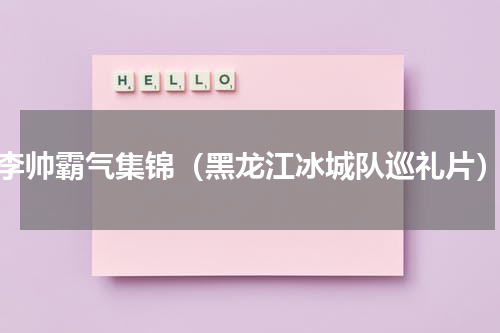 李帅霸气集锦（黑龙江冰城队巡礼片）
