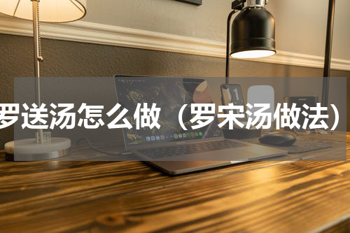 罗送汤怎么做（罗宋汤做法）