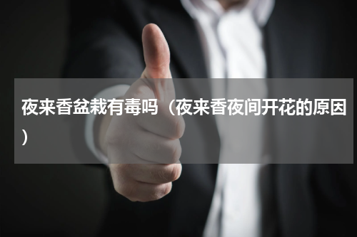 夜来香盆栽有毒吗（夜来香夜间开花的原因）
