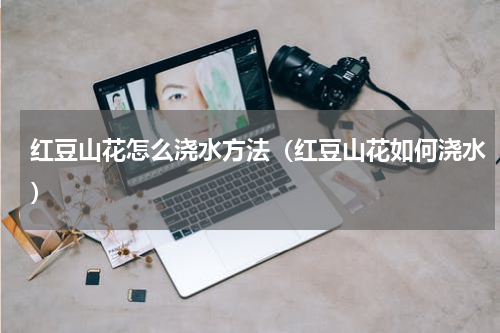 红豆山花怎么浇水方法（红豆山花如何浇水）