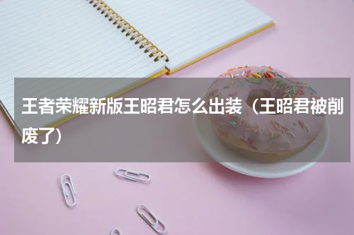 王者荣耀新版王昭君怎么出装（王昭君被削废了）