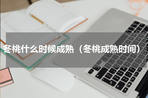 冬桃什么时候成熟（冬桃成熟时间）