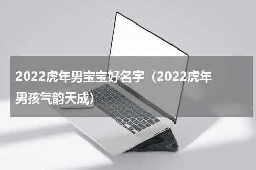 2022虎年男宝宝好名字（2022虎年男孩气韵天成）