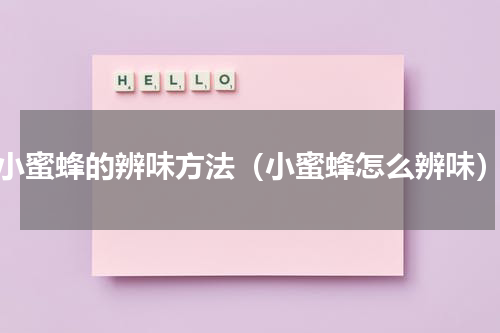 小蜜蜂的辨味方法（小蜜蜂怎么辨味）